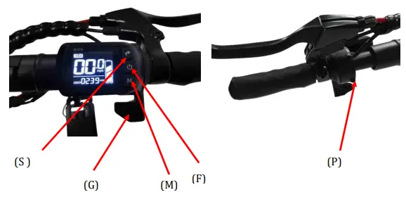 glion-Dolly-XL-Electric-Scooter-FIG-12