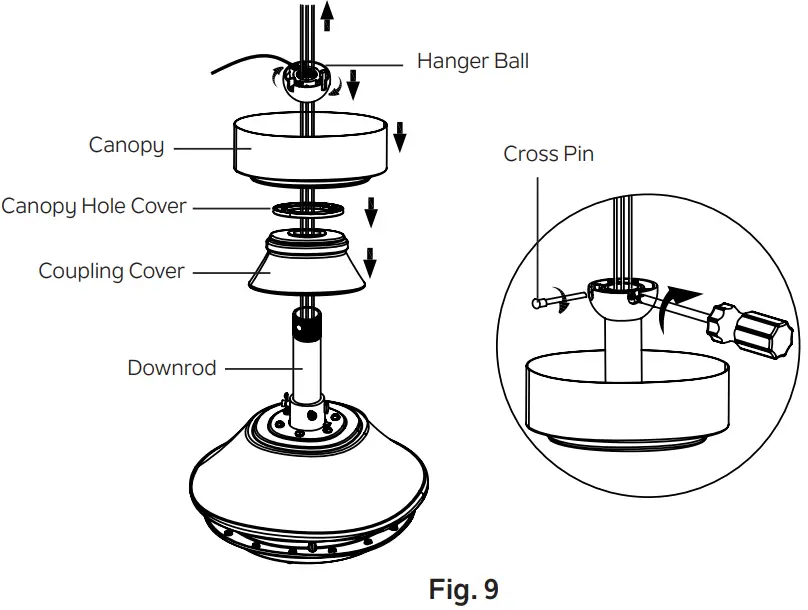 Motor Assembly