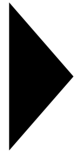 microlife MT 300 Digital Thermometer -icon