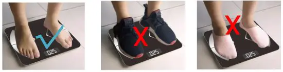 Welland T9 Smart Body Fat Scale - display