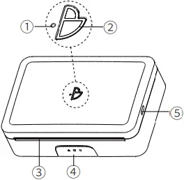 Poooli L3 - Appearance 1