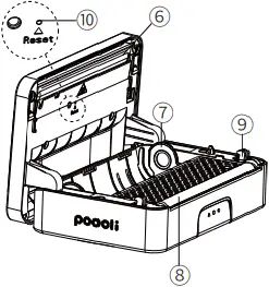 Poooli L3 - Appearance 2