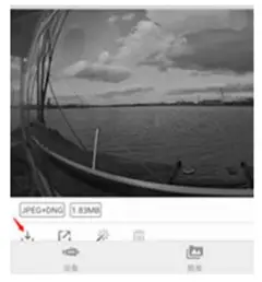 Download to Phone/Tablet