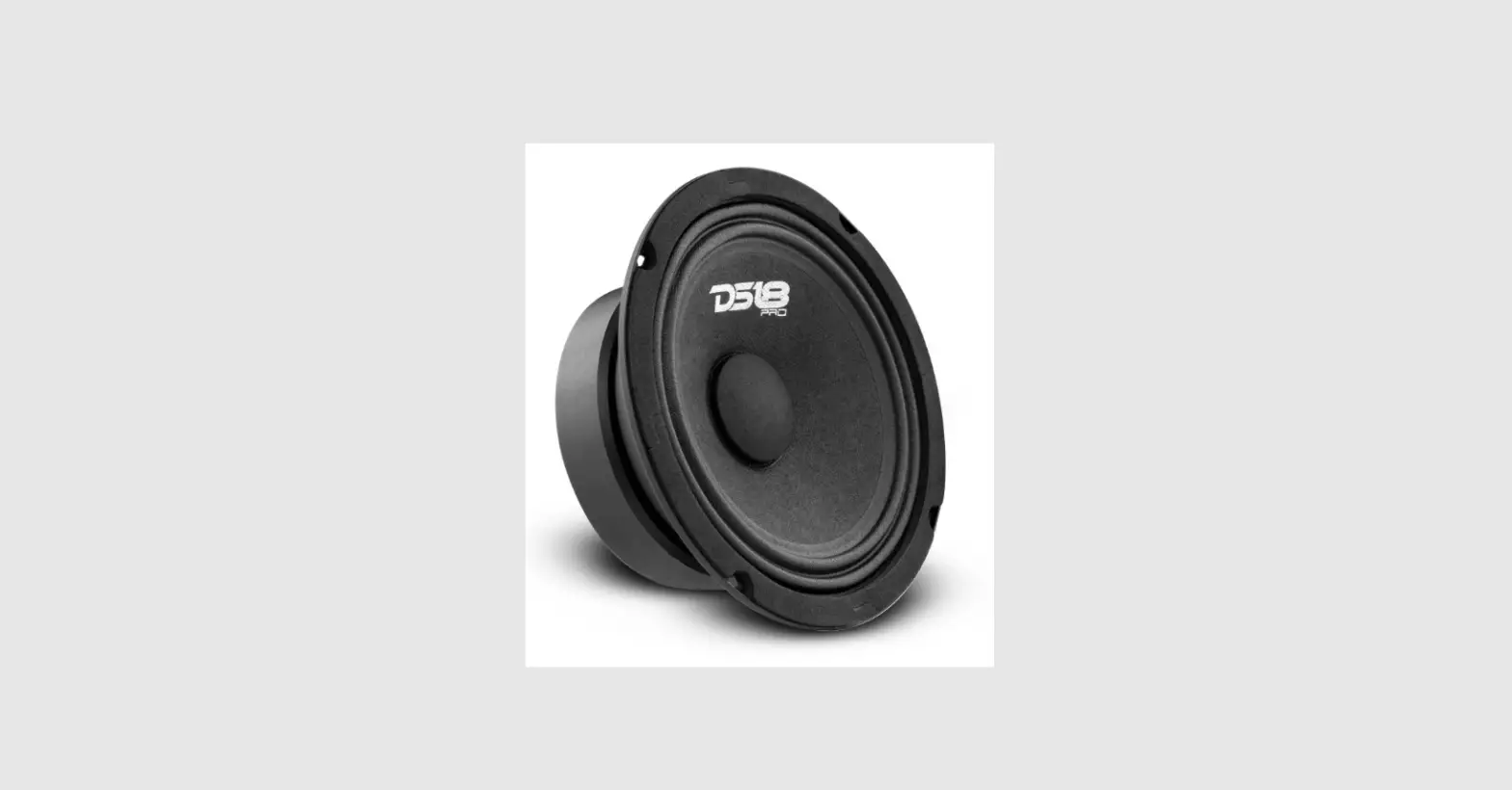 Ds18 Pro-gm6se 6.5” Sealed Back Mid-range Loudspeaker Owner's Manual