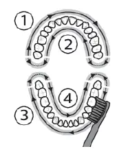 PHILIPS HX6817-01 Sonicare Rechargeable Electric Toothbrush 5