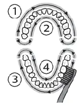 PHILIPS HX6817-01 Sonicare Rechargeable Electric Toothbrush 7