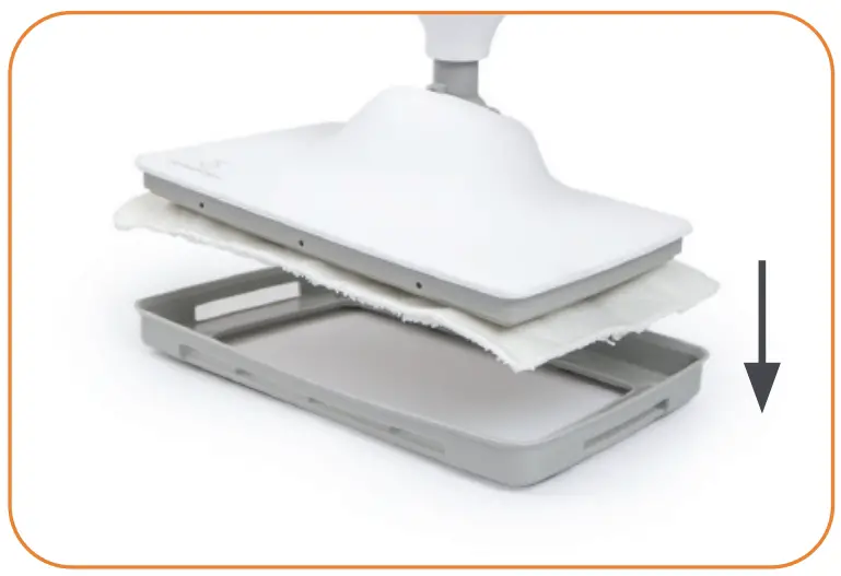 Steam Cleaning Carpets