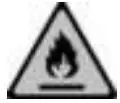 fire icon