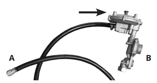 Running Generator On Lpg