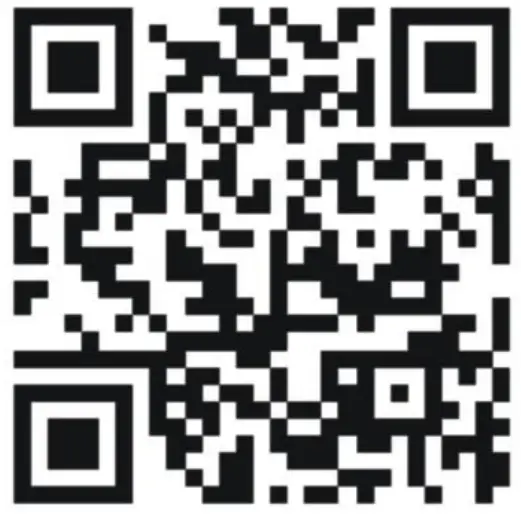 BOSS Audio Systems ATV Chasing LED Whip - 48-inch -QR CODE