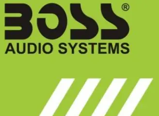 BOSS LOGO