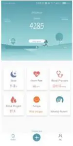 Wearfit Home page Interface