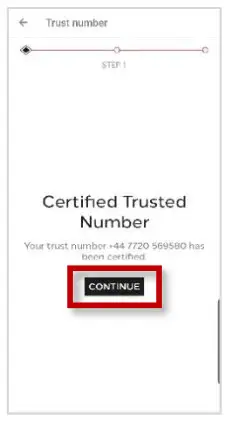 VAUXHALL 20210309 LEV Electric Vehicles - Step 37