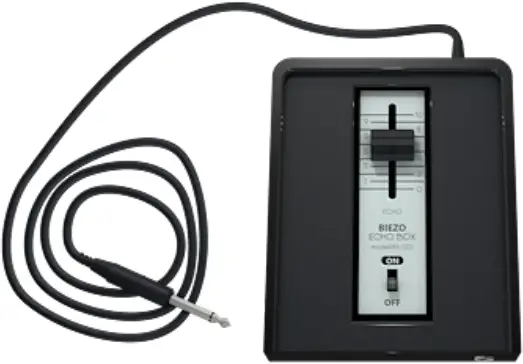 AudioThing Springs - Echo Box