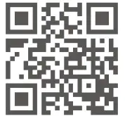 bestron ASM250Z Stick Mixer - qr