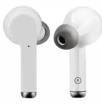 STEVISION Harald Nyborg True Wireless Earbuds