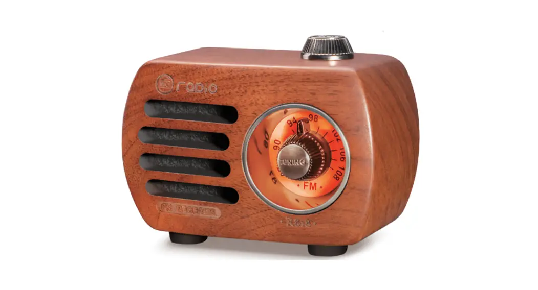 Pronus R-818 Retro Mini Fm Radio User Manual