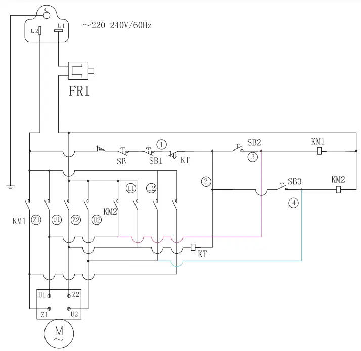 estella 348SM40 40 Quart Spiral Mixer with Guards-fig3
