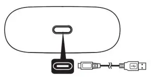 FIG 20 Case Charging