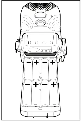 Wildgame-INNOVATIONS-20220107-Mirage-Universal-03