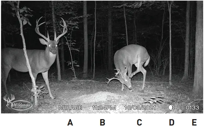Wildgame-INNOVATIONS-20220107-Mirage-Universal-27