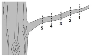 PORTLAND 56808 9 5 In 7 Amp Corded Electric Pole Saw - FIGURE 14