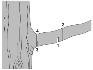 PORTLAND 56808 9 5 In 7 Amp Corded Electric Pole Saw - FIGURE 15
