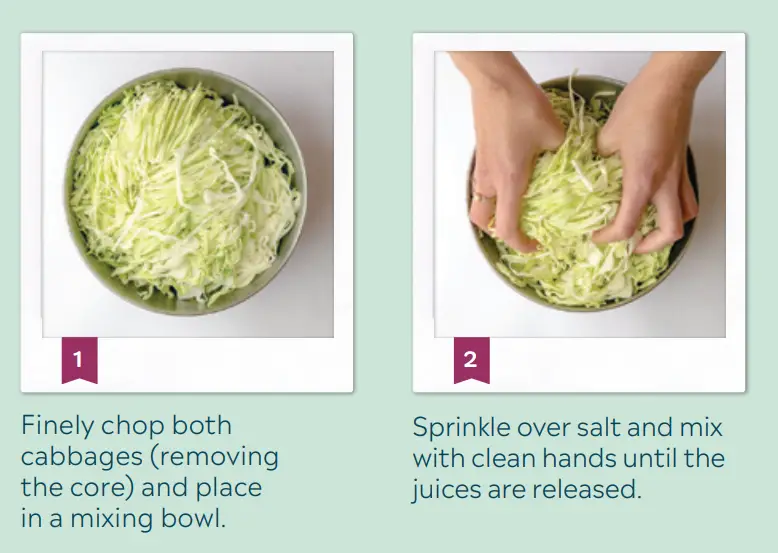 Mad-Millie-Fermenting-Vegetables-Crock-fig1