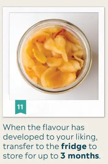 Mad-Millie-Fermenting-Vegetables-Crock-fig10