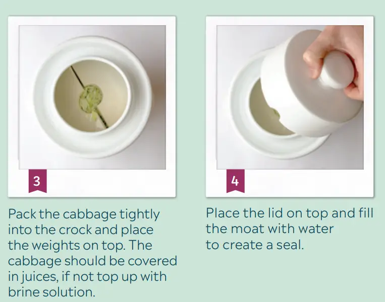 Mad-Millie-Fermenting-Vegetables-Crock-fig2