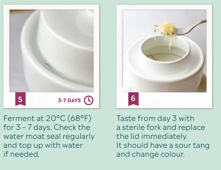 Mad-Millie-Fermenting-Vegetables-Crock-fig3