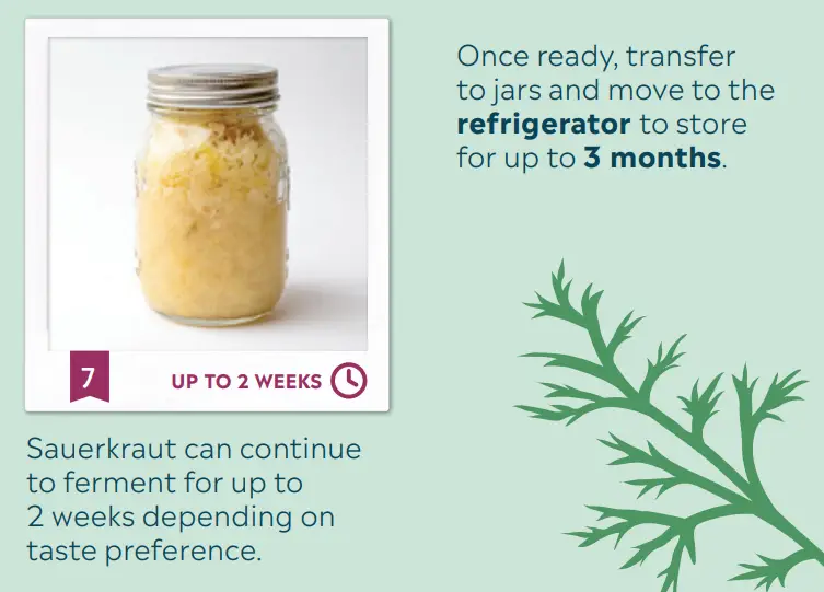 Mad-Millie-Fermenting-Vegetables-Crock-fig4