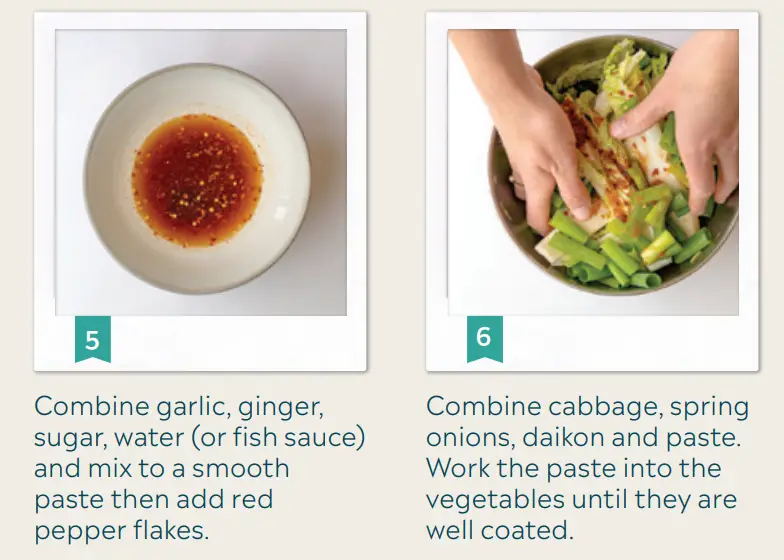 Mad-Millie-Fermenting-Vegetables-Crock-fig7