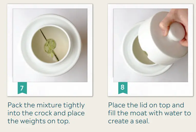 Mad-Millie-Fermenting-Vegetables-Crock-fig8