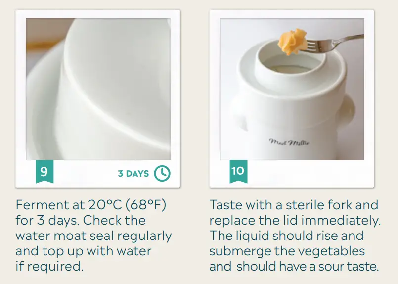 Mad-Millie-Fermenting-Vegetables-Crock-fig9