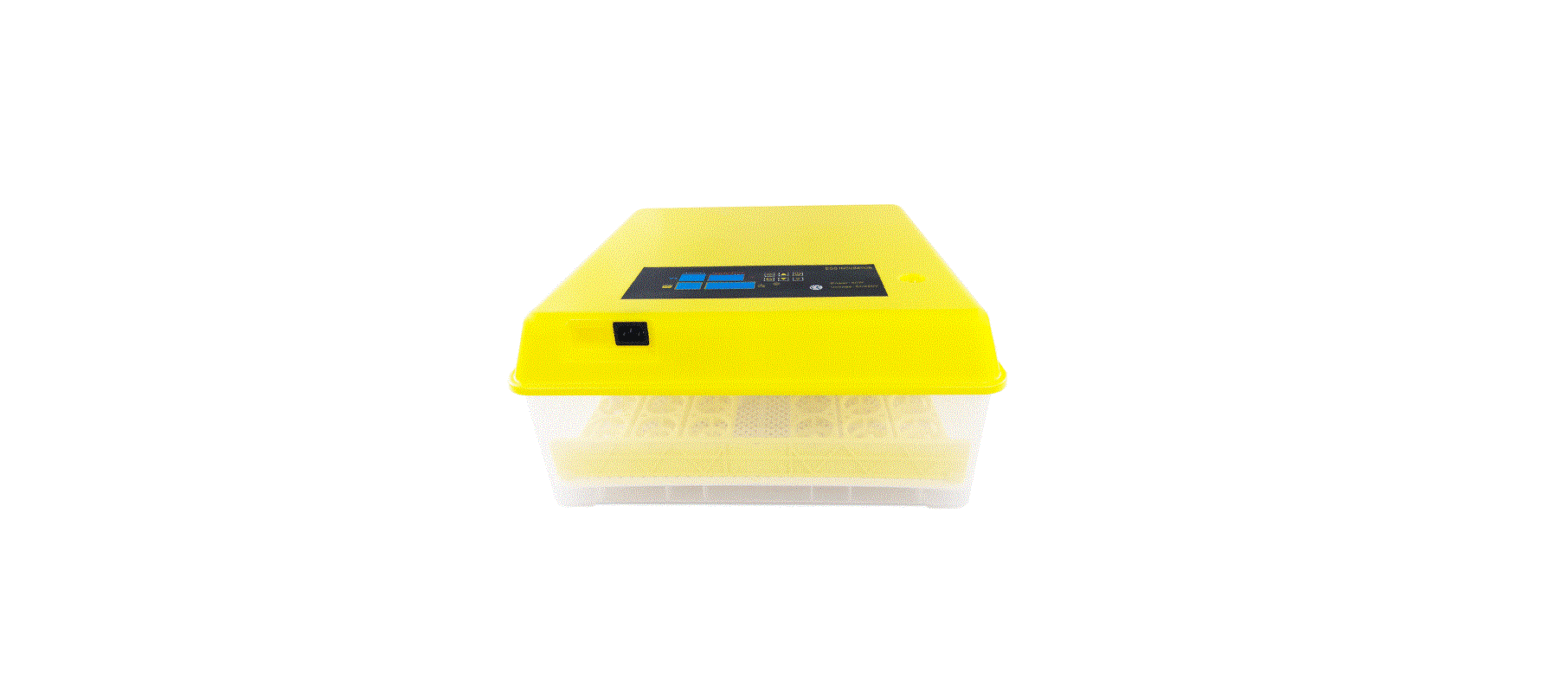 Wiltec 52168 Incubator For Reptile Eggs User Manual