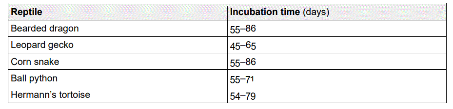 wiltec 52168 Incubator for Reptile Eggs fig 3