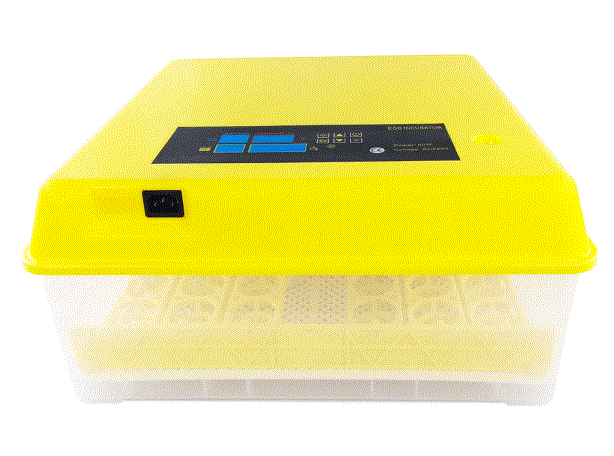 wiltec 52168 Incubator for Reptile Eggs product
