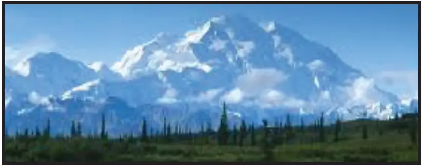 true STA1RRT89-1S-1S Solid Rear Door Insulated Roll- 22