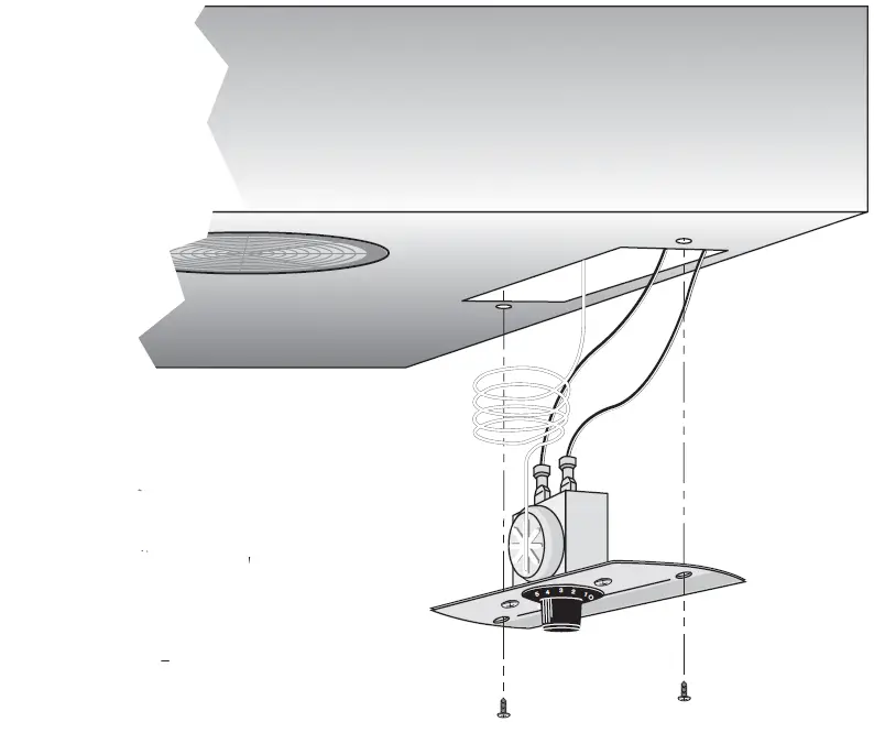 true STA1RRT89-1S-1S Solid Rear Door Insulated Roll- 29