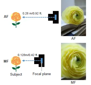 Canon-RF15-30mm-F4.5-6.3-IS-STM-Ultrawide-Zoom-Lens-4