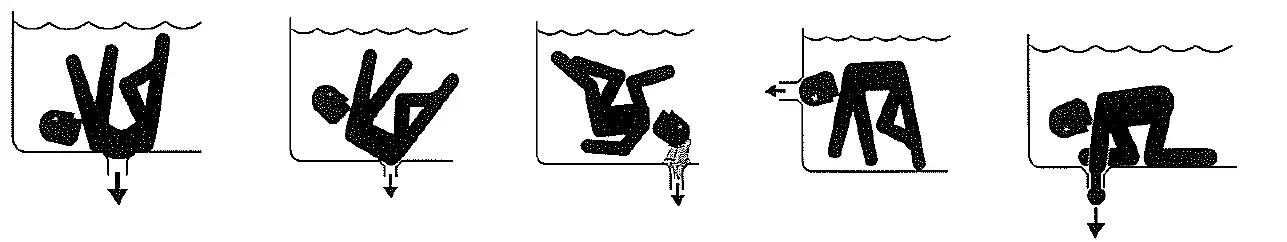 SPECK X pumps Swimming Pool and Spa Pump fig 1