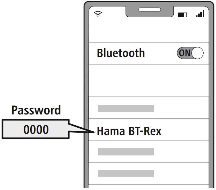Bluetooth® password interface