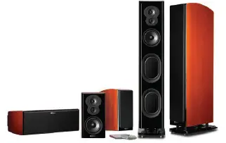 Polk-Audio-AM7515-A-LSiM-705-Superior-Floorstanding-Tower-Speaker-Fig- (10)