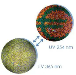 Doculus-Lumus-AS-IR-UVC-LI-Mobile-Document-Checking-Device-38