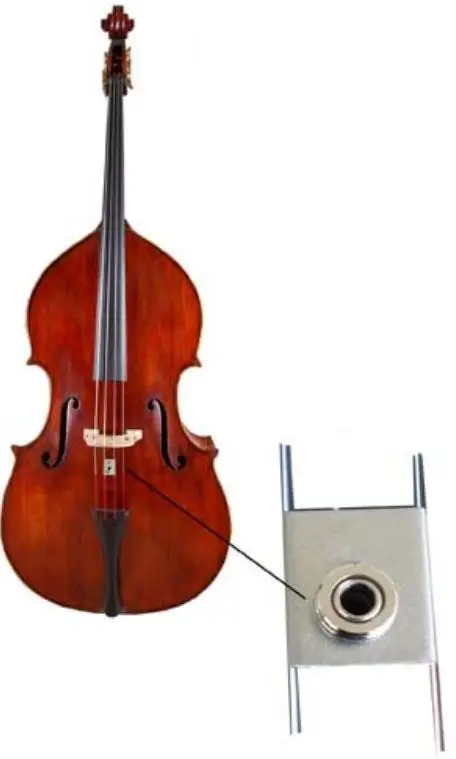 TAP-BCE-44-Contrabass-and-Cello-System-fig 1
