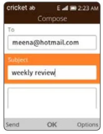 cricket Alcatel QuickFlip 4G LTE HD Voice Flip Phone -FIG 14