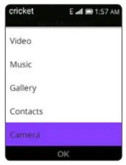 cricket Alcatel QuickFlip 4G LTE HD Voice Flip Phone -FIG 19