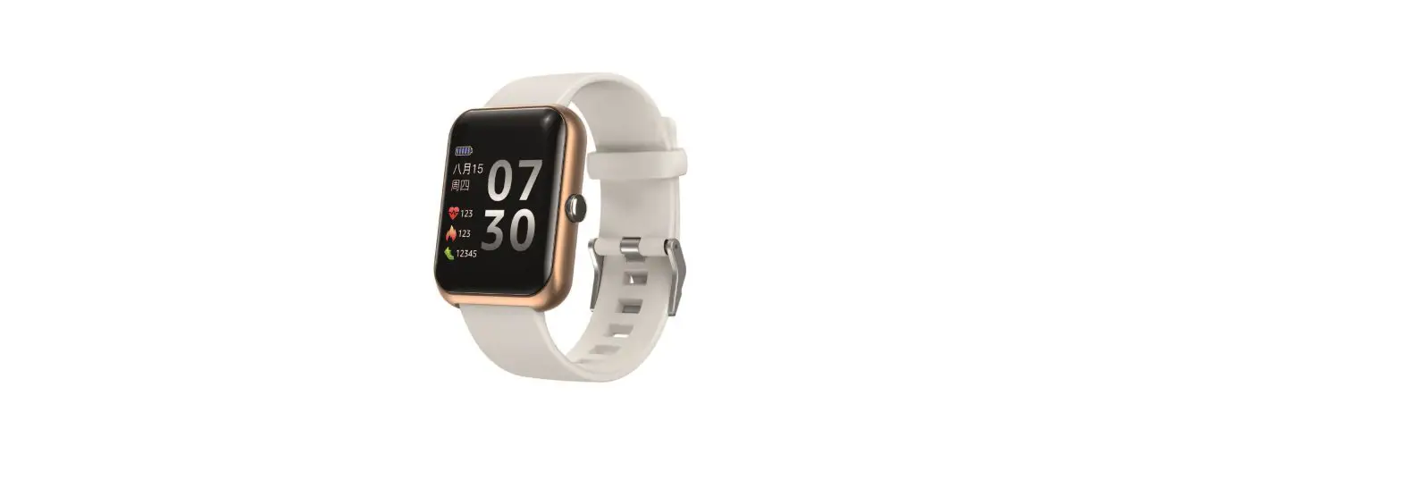 Bonusbuys Smartwatch S20 User Guide