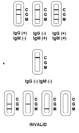 ACON SARS-CoV-2 IgG-IgM Rapid Test fig 2